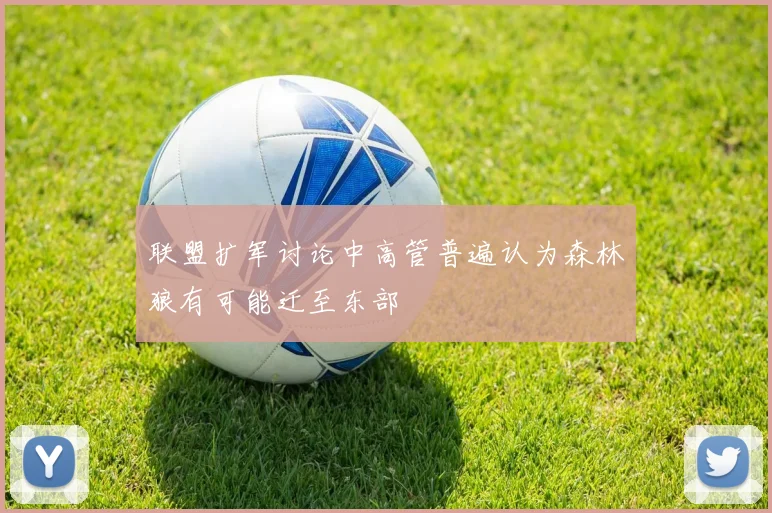 联盟扩军讨论中高管普遍认为森林狼有可能迁至东部
