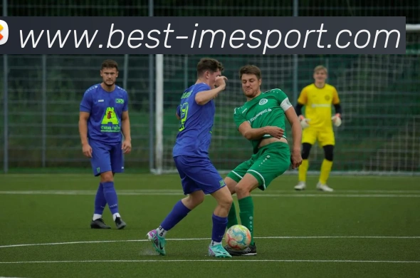 IM电竞平台生态图